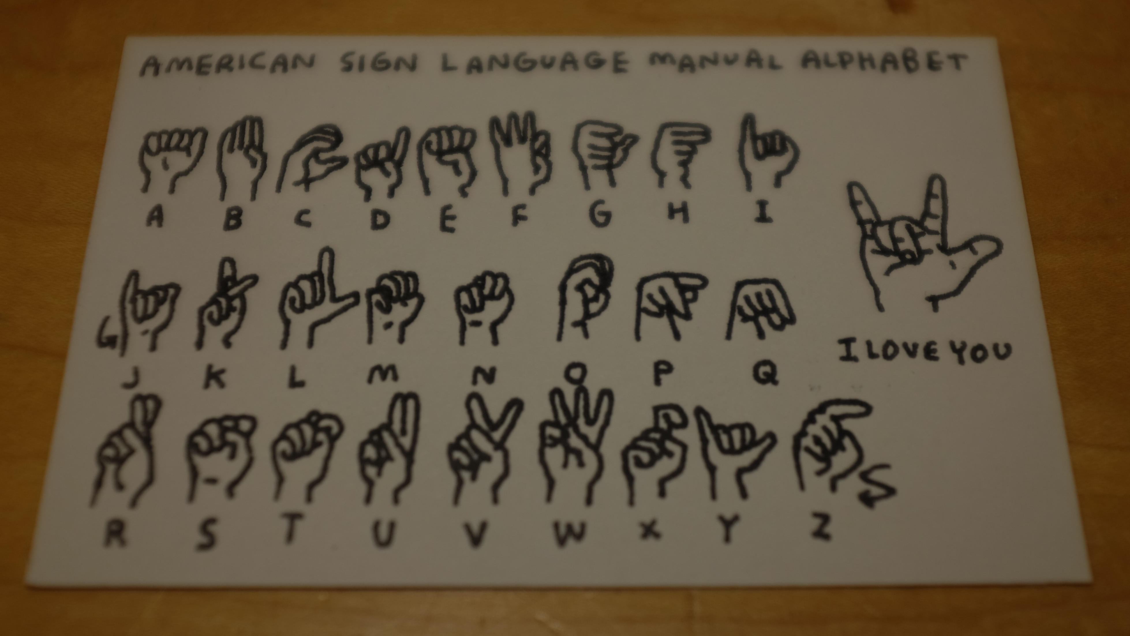 American Sign Language Manual Alphabet. Image courtesy of LitMag 