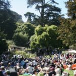 Flower Piano Connects Bay Area